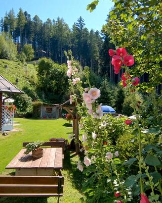 Appartamento vacanze montagna Valsugana