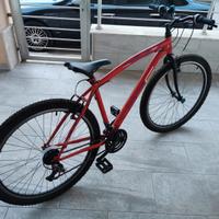 Bicicletta per ragazzino 10-14 anni