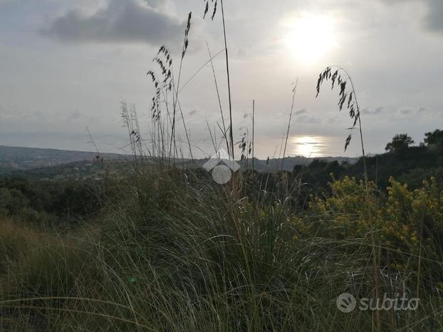 TER. AGRICOLO A SCALEA