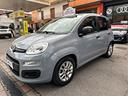 fiat-panda-1-0-firefly-s-s-hybrid-launch-edition-n