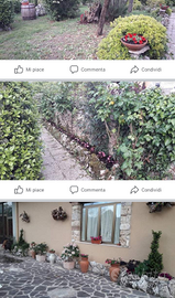 Location adibito ristorante pizzeria eventi