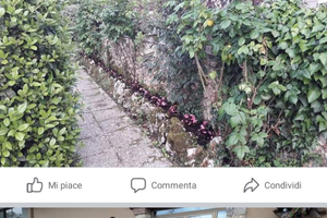 Location adibito ristorante pizzeria eventi