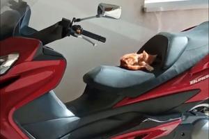 Scooter in buone condizioni