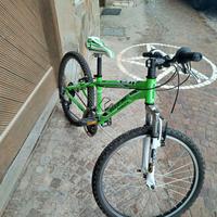 bicicletta 