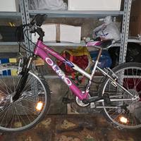 bicicletta mtb Olmo 24