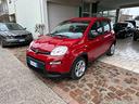 fiat-panda-1-0-firefly-s-s-hybrid