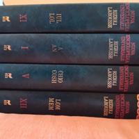 Nuova Enciclopedia Universale  Rizzoli Larousse