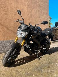 Yamaha mt125