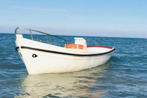 Barca 5.8 m con carrello motorizzato