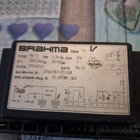 brahma