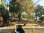 Immagine 26