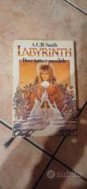 Labyrinth Dove tutto è possibile di A.C.H.Smith