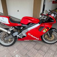 Cagiva mito