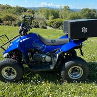 Quad 250cc