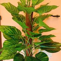 Pianta artificiale alta