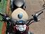 Immagine 26