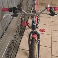 Bici da passeggio per bambina