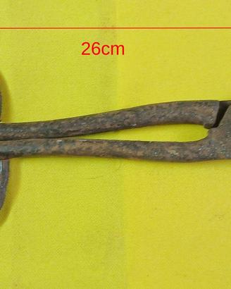 Antiche forbici cesoie da lattoniere