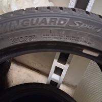 Nexen Winguard Sport 2