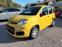 fiat-panda-1000-hybrid-70-cv-pdc-italia