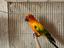 Immagine 1