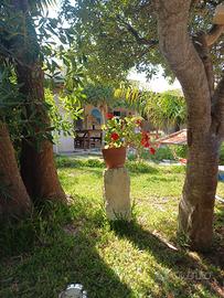 Stupenda vacanza a torre dell'orso