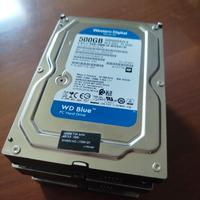 Hard Disk WD Blue 500GB – Stock 4 pezzi