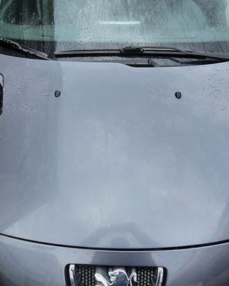 PEUGEOT 206 PLUS 2012 - COFANO ANTERIORE