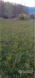 Terreno 4000mq