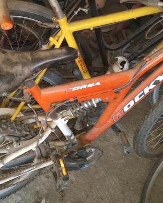 biciclette