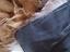 Immagine 4