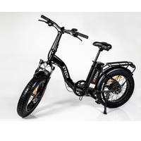 BICI ELETTRICA ETNA Z-TECH PIEGHEVOLE 250W 36V E-B