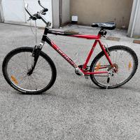 mountain bike