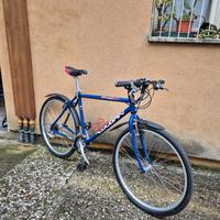 Bicicletta da uomo taglia S/M