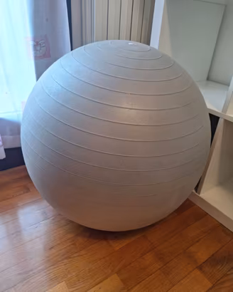 Fitball pallone fitness diametro 65cm