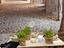 Immagine 27