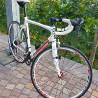 Bici corsa Moser carbonio