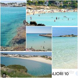 Pulsano Estate (TA)2026