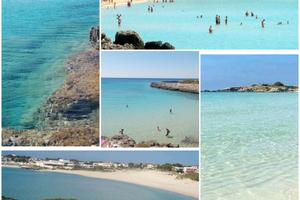 Pulsano Estate (TA)2026