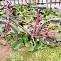 bianchi ragno