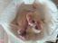 Immagine 5