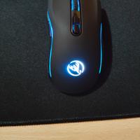 mouse