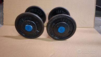 Manubri FASSI da 4 a 18 kg