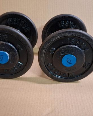 Manubri FASSI da 4 a 18 kg