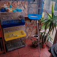 4 Gabbie per uccelli