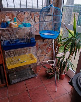 4 Gabbie per uccelli