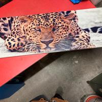 Quadro Decorativo Leopardo - Stile Shabby Chic