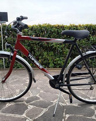 bicicletta da uomo 