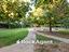 Immagine 25