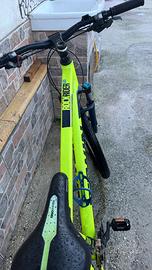 Bici mtb